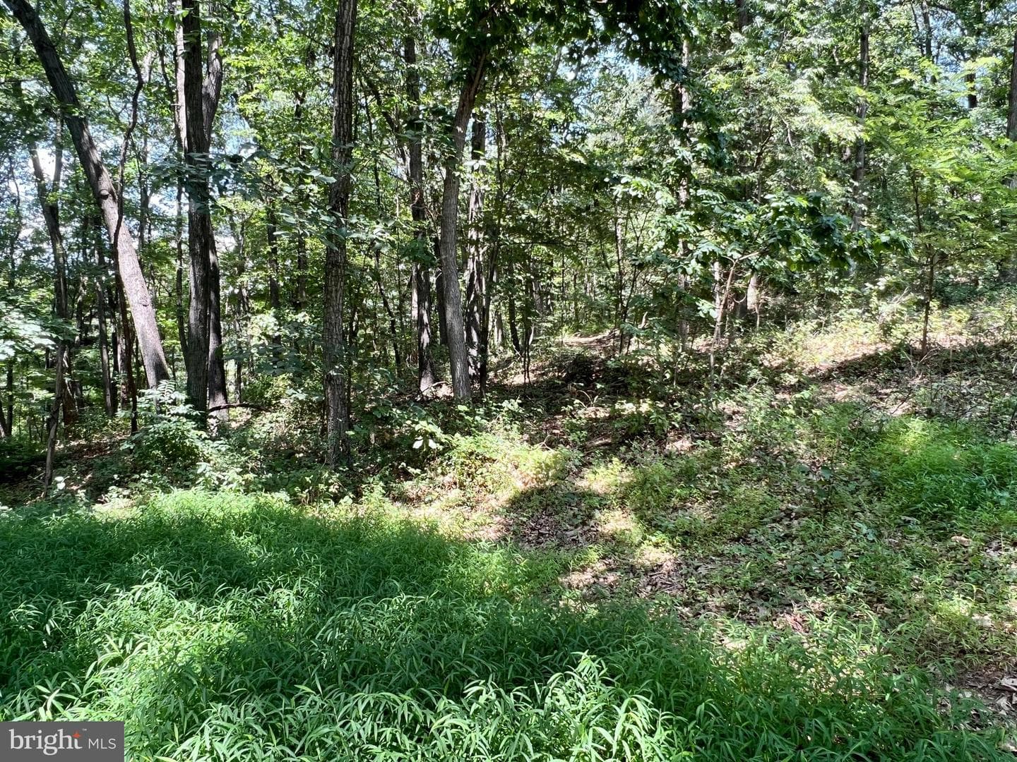1188 E Graceville Road photo 35