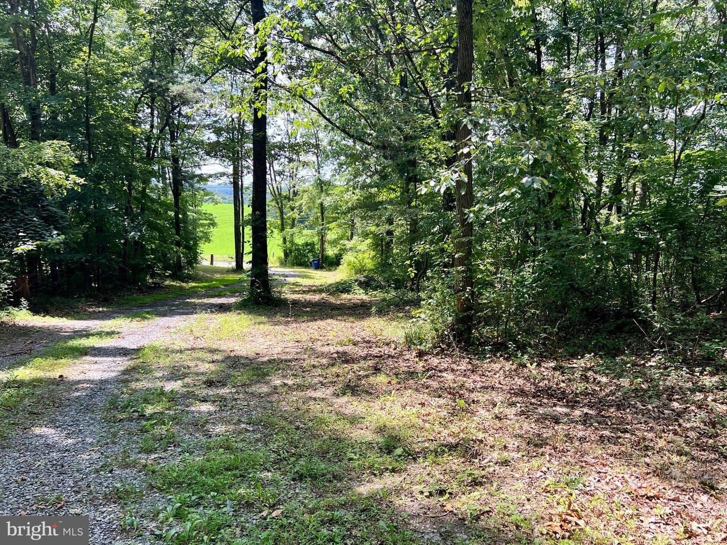 1188 E Graceville Road photo 36