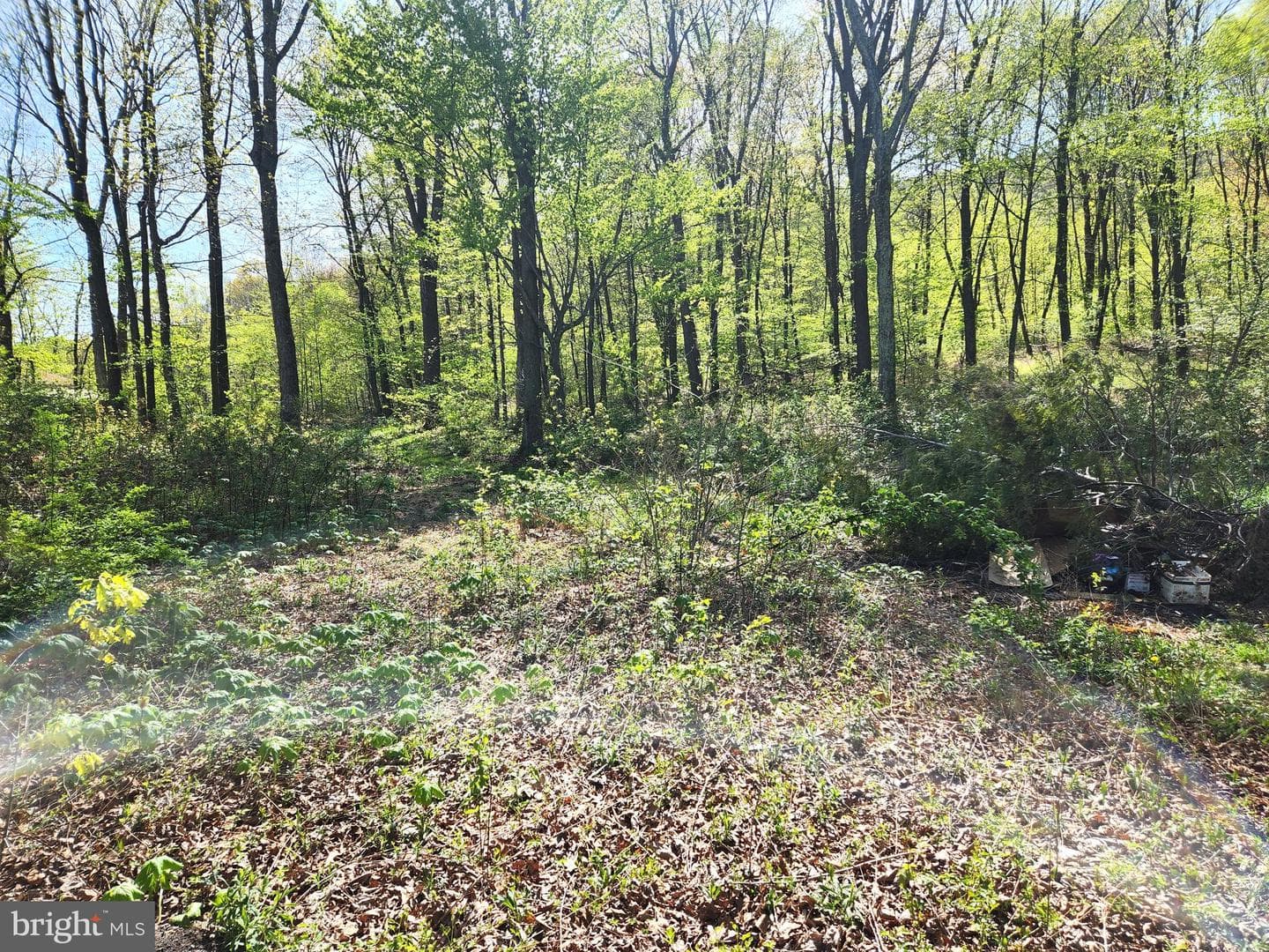 2995 Raystown Road photo 41