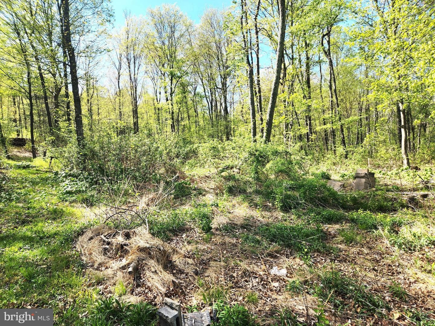2995 Raystown Road photo 43