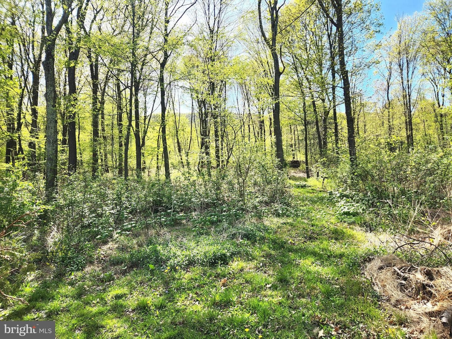 2995 Raystown Road photo 44