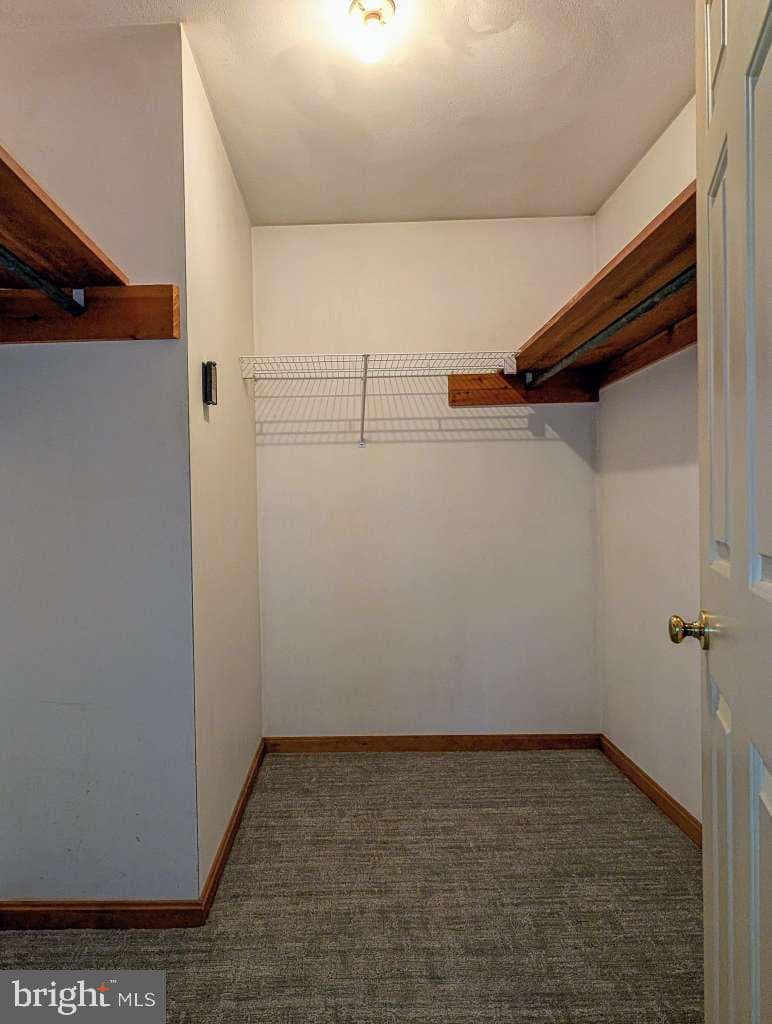 2203 Hinson Road photo 36