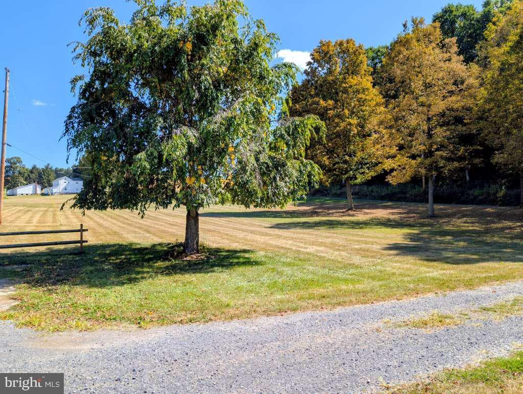 2203 Hinson Road photo 86