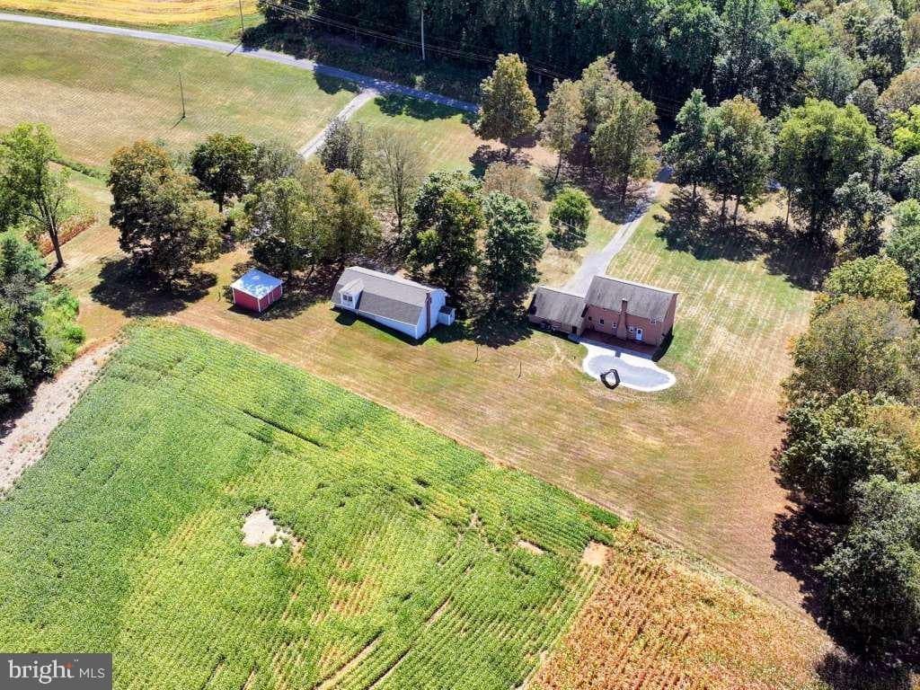 2203 Hinson Road photo 88