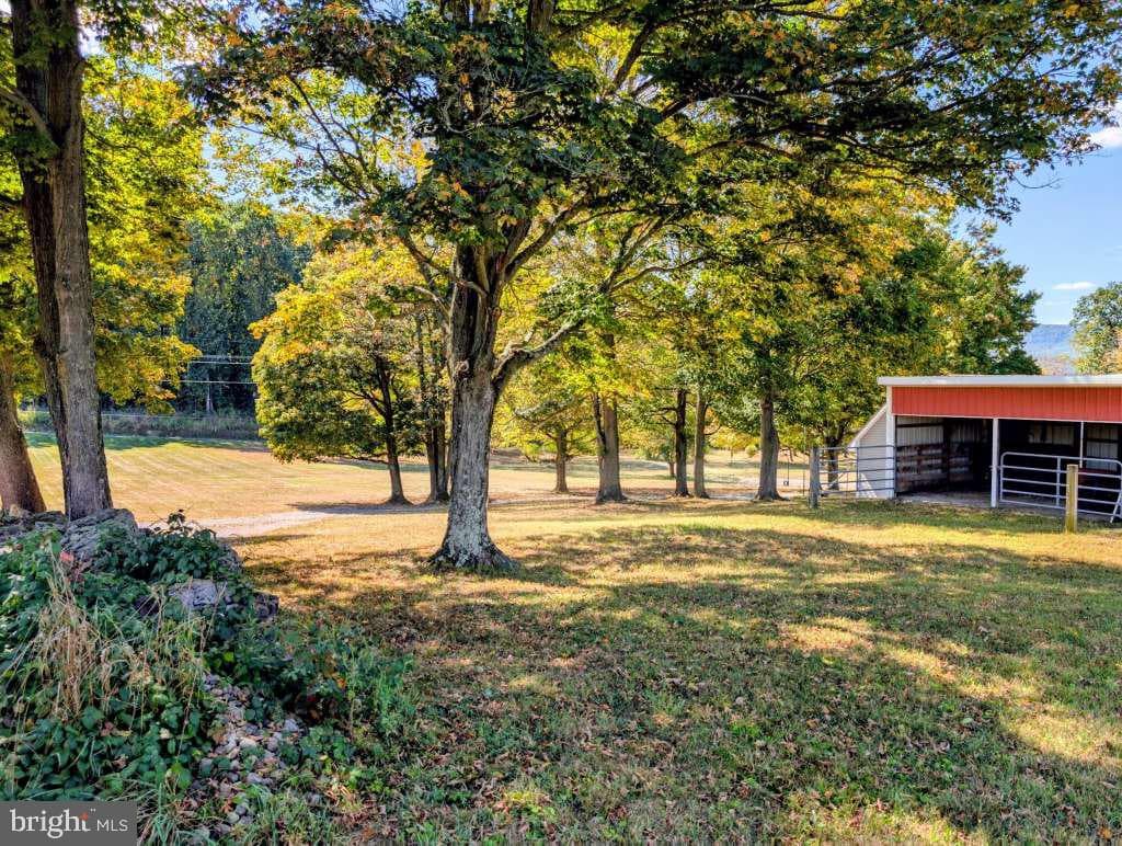 2203 Hinson Road photo 89