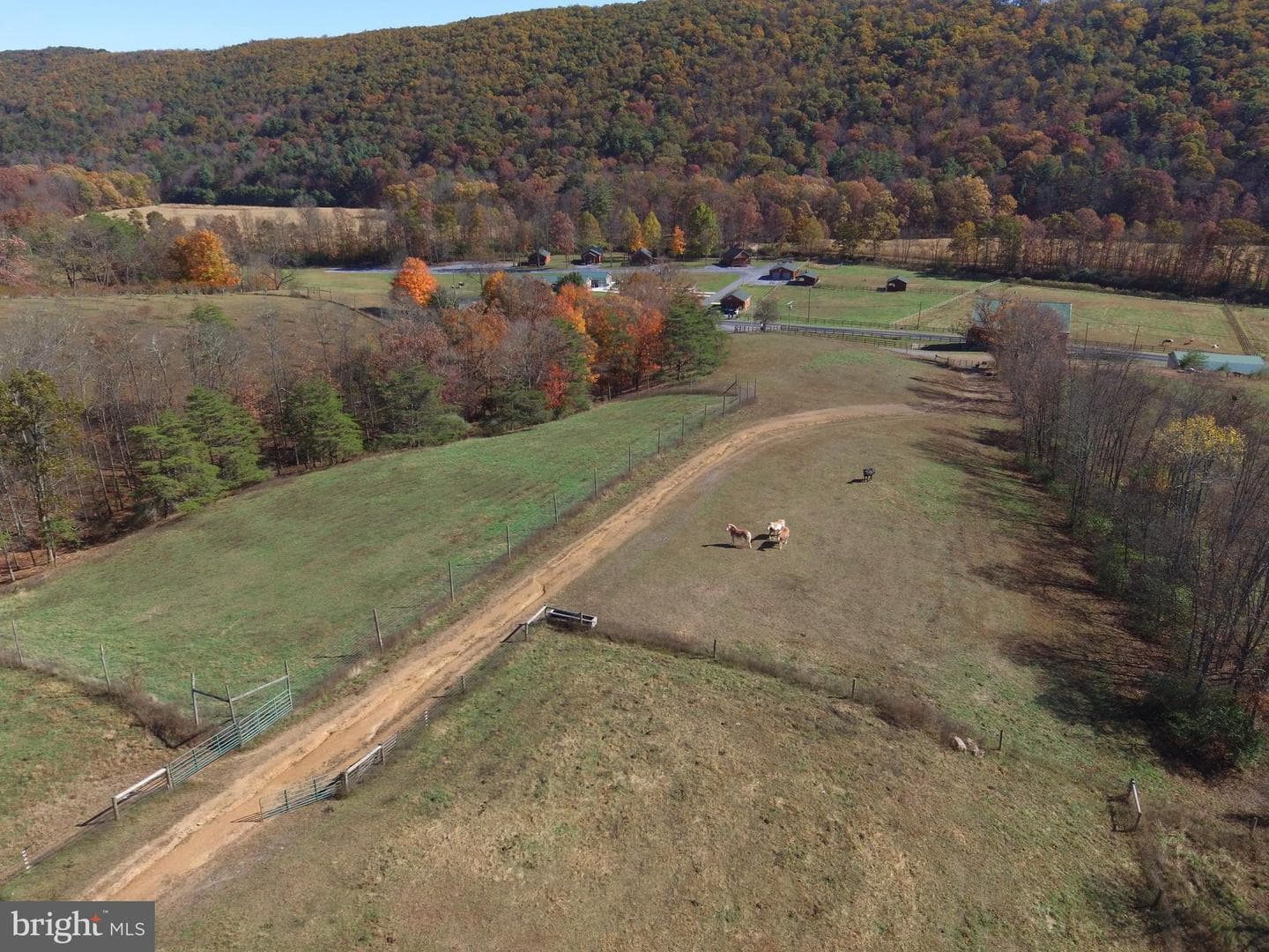 1461 Big Creek Road photo 18
