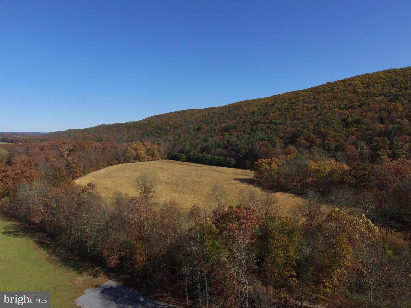 1461 Big Creek Road photo 29