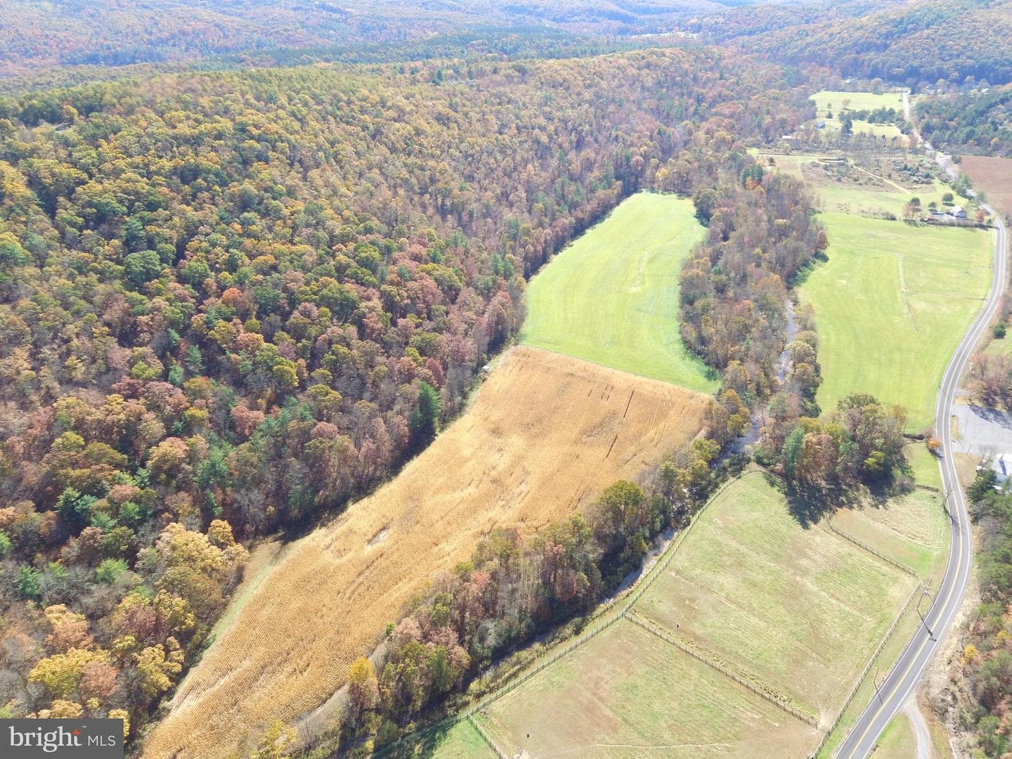 1461 Big Creek Road photo 42