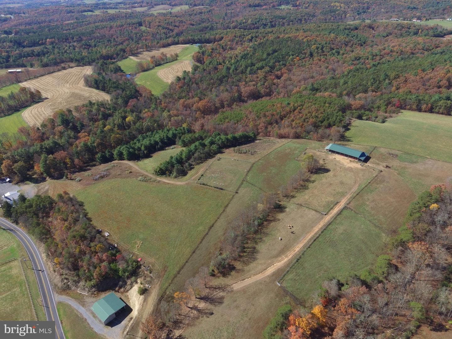 1461 Big Creek Road photo 43