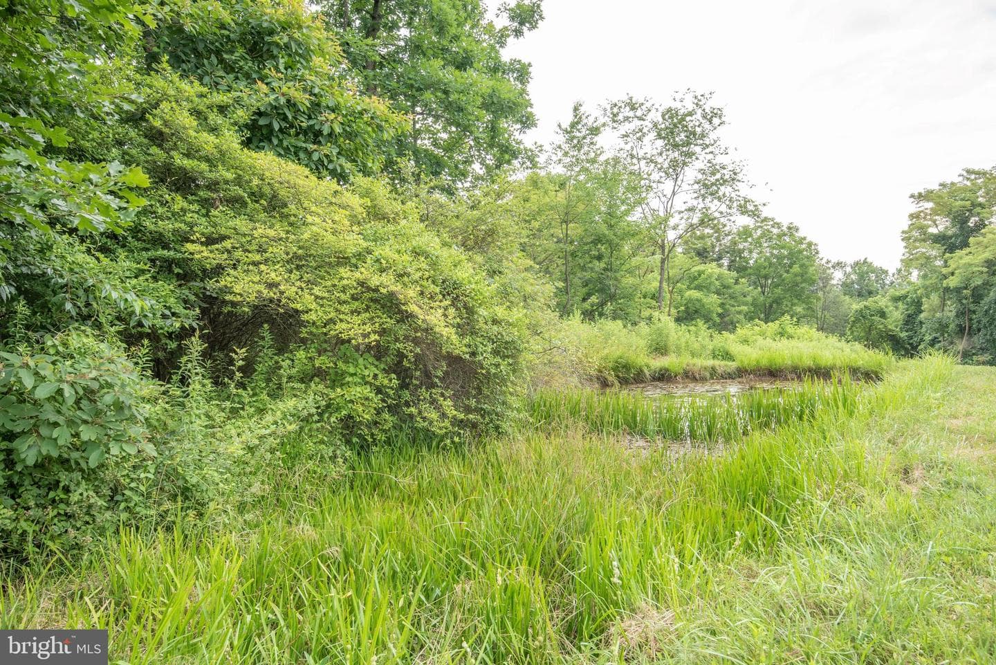 300 Beegle Road photo 55