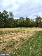 1925 N Imler Valley Road photo 58