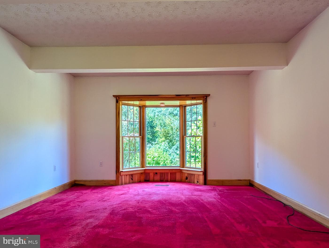353 Pine Pitch Road photo 43