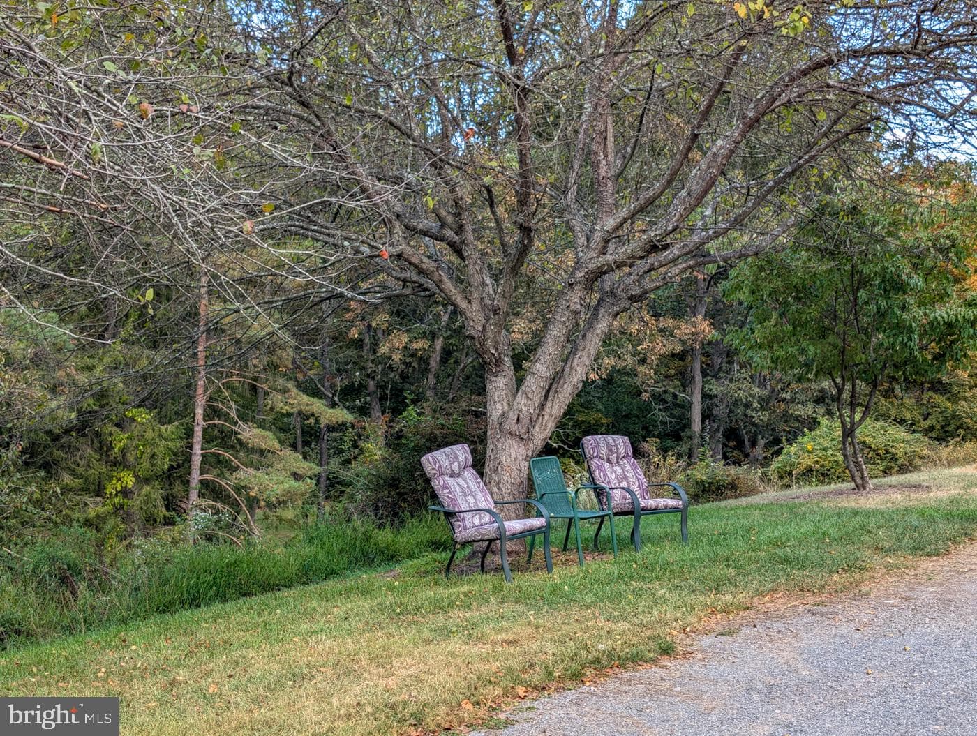 353 Pine Pitch Road photo 58