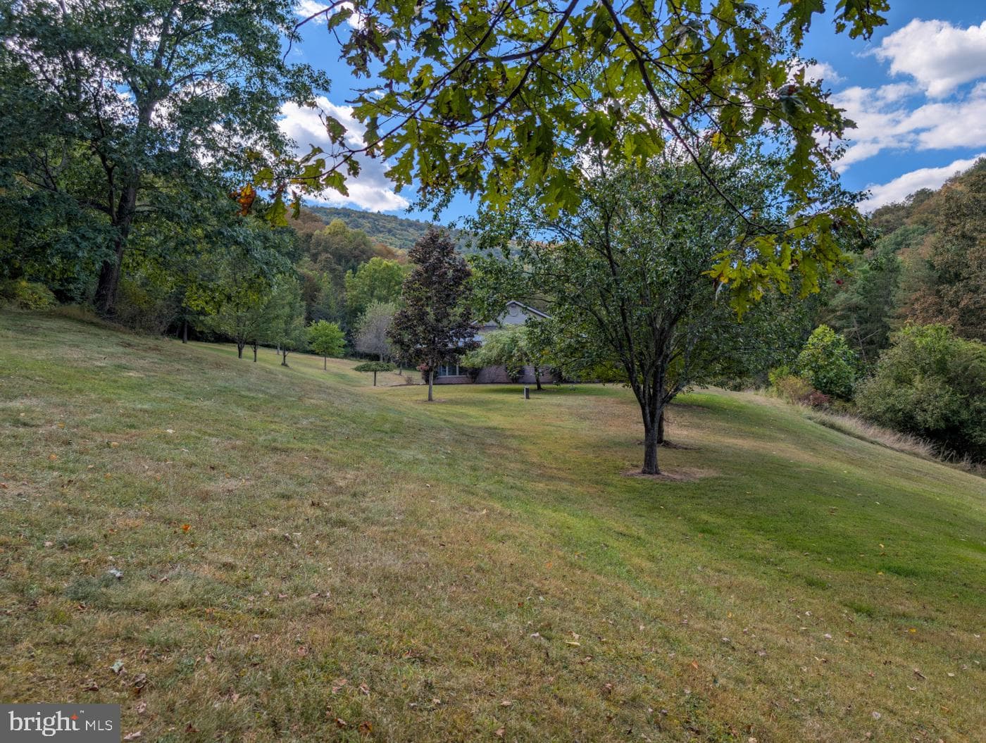 353 Pine Pitch Road photo 59