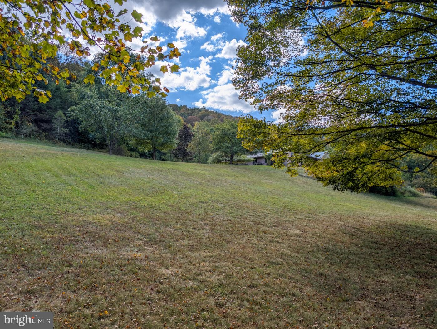 353 Pine Pitch Road photo 60