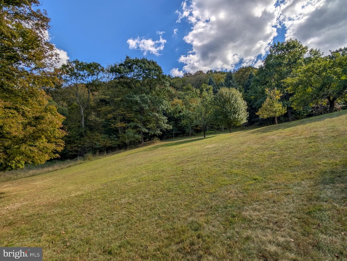 353 Pine Pitch Road photo 62