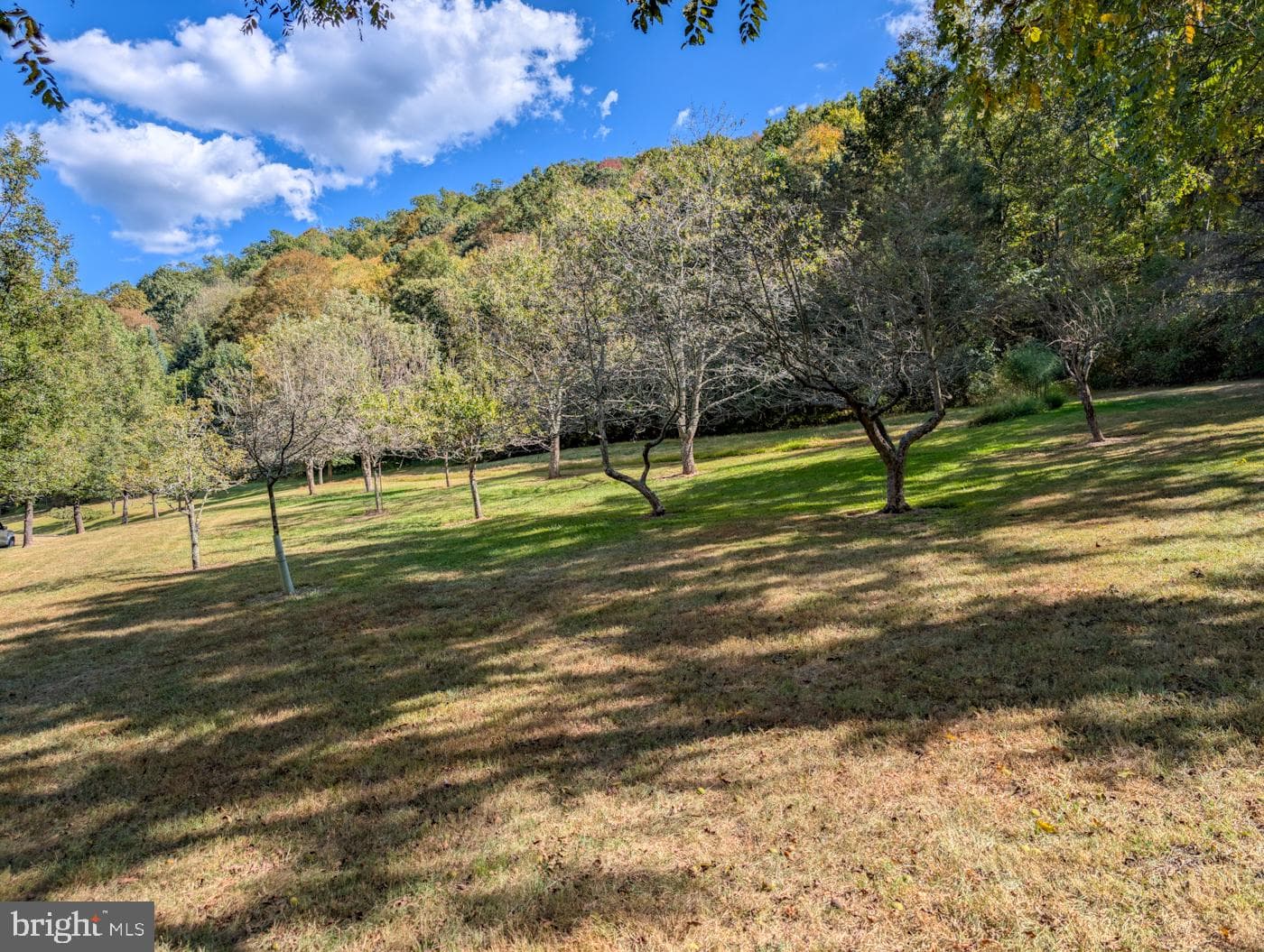353 Pine Pitch Road photo 70