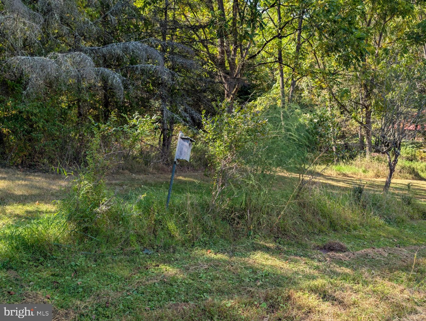 353 Pine Pitch Road photo 71