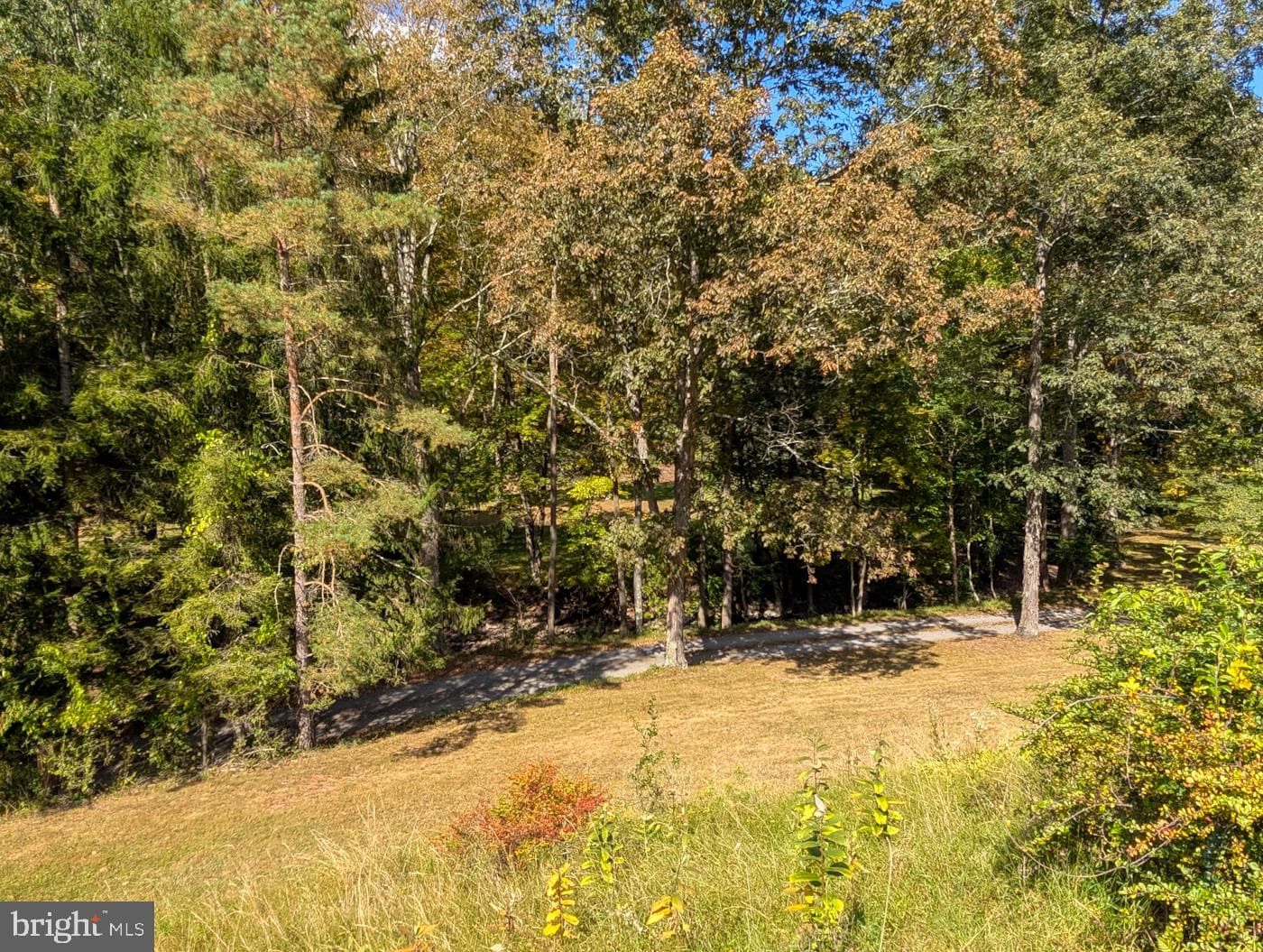 353 Pine Pitch Road photo 80