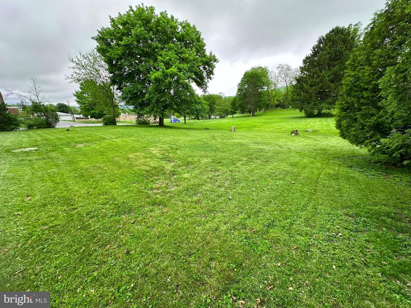 407 Upper Snake Spring Road photo 41