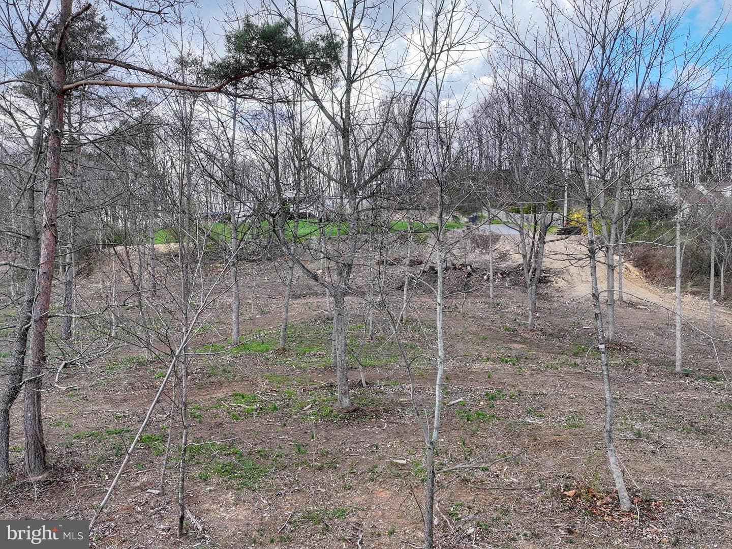 192 Northern Pine Road photo 58