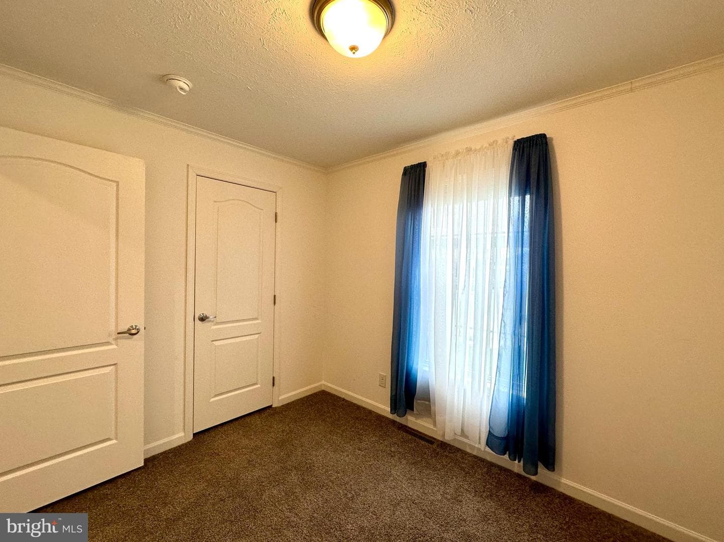 161 Serenity Circle photo 31