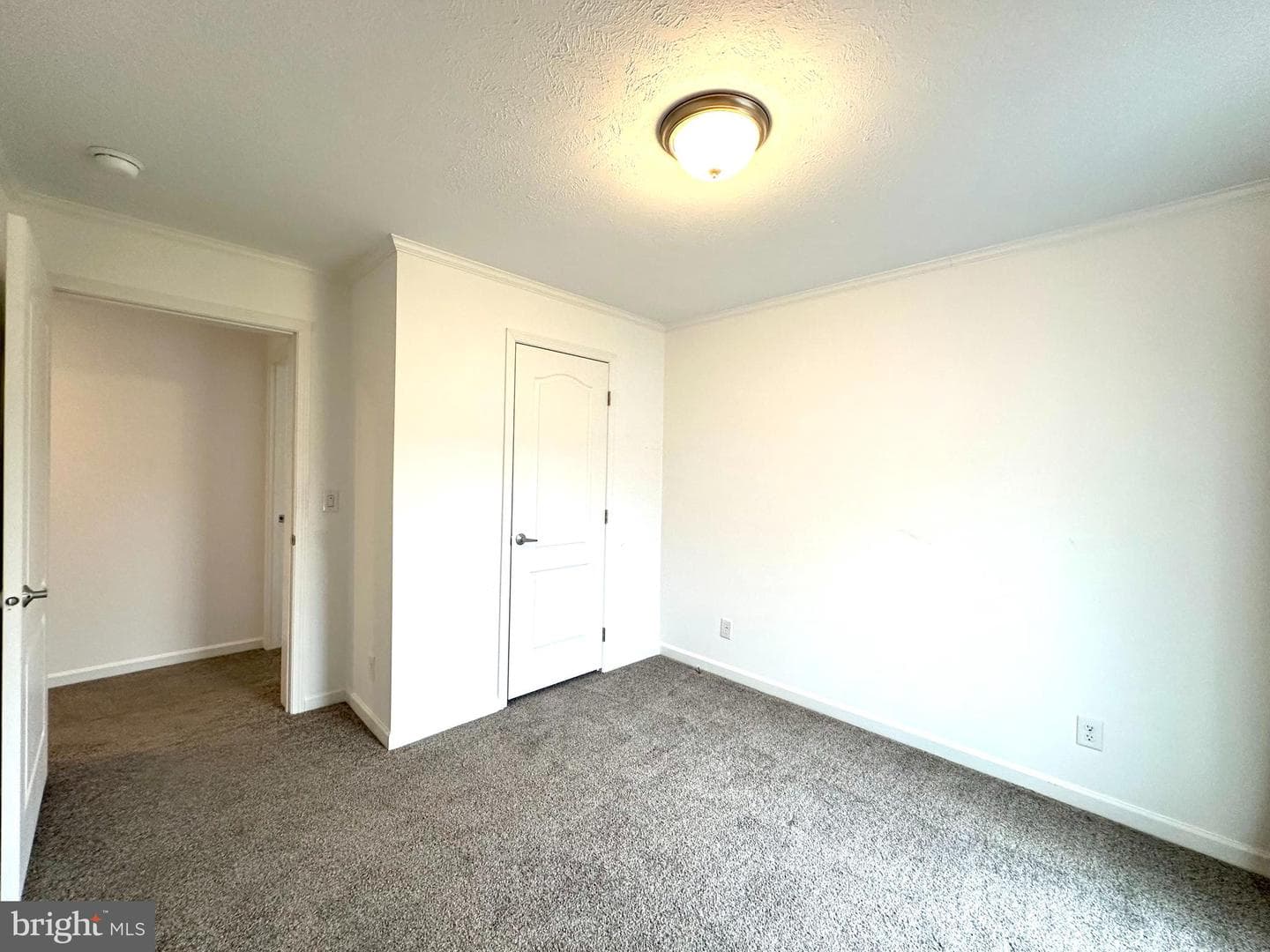 161 Serenity Circle photo 33