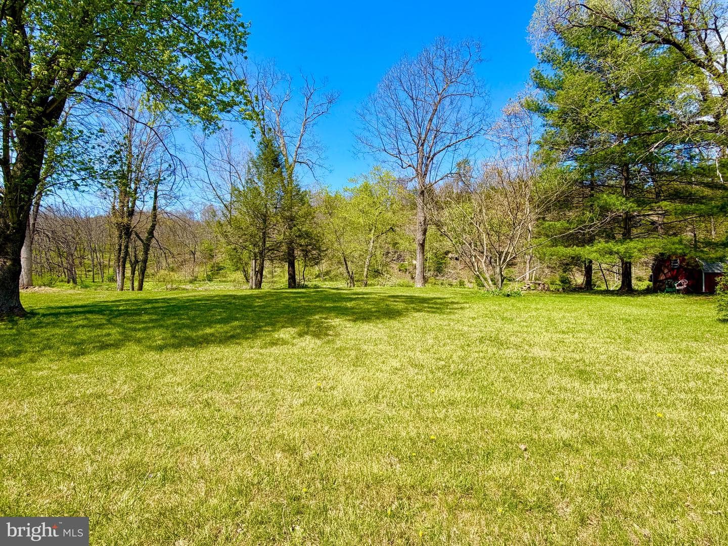 457 Cove Street photo 8