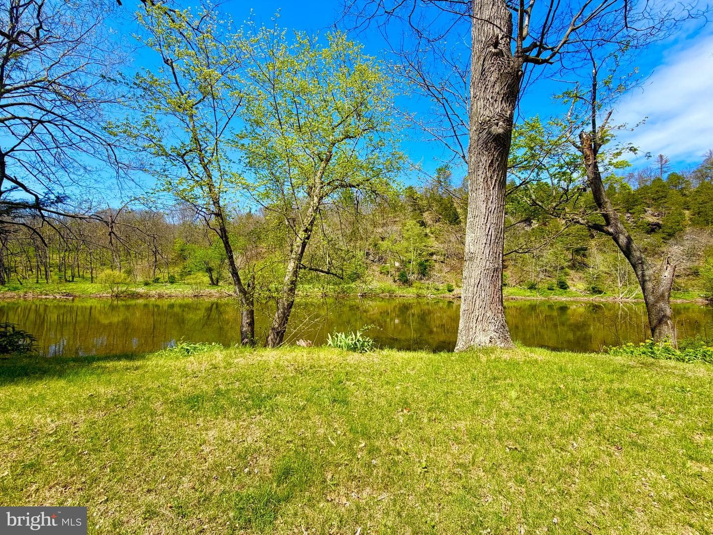 457 Cove Street photo 9