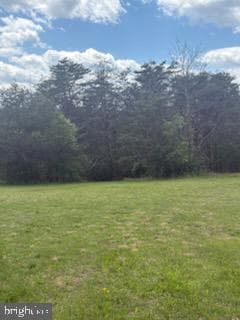 342 Big Maple Lane photo 10