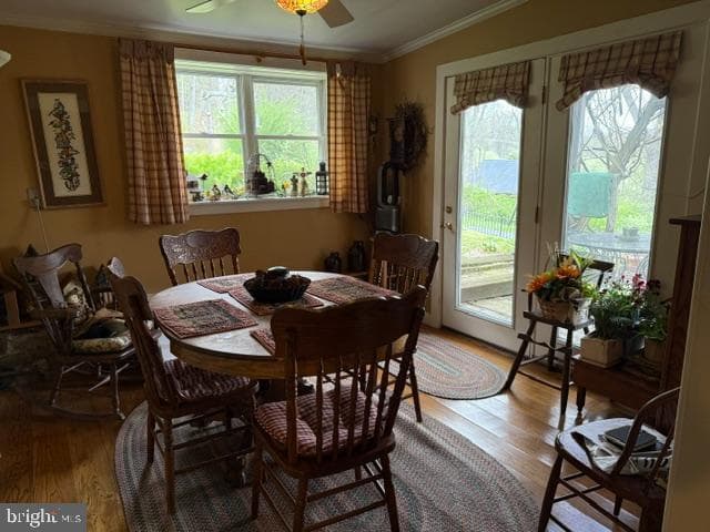 1565 Robinsonville Rd photo 35