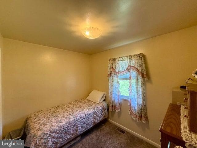 703 Spring Street photo 24