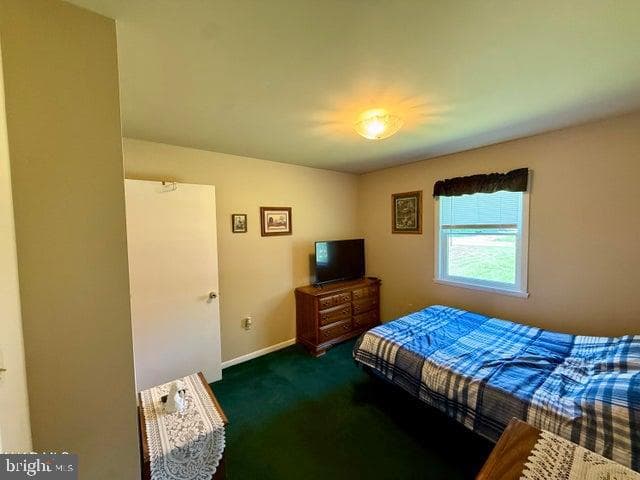 703 Spring Street photo 26