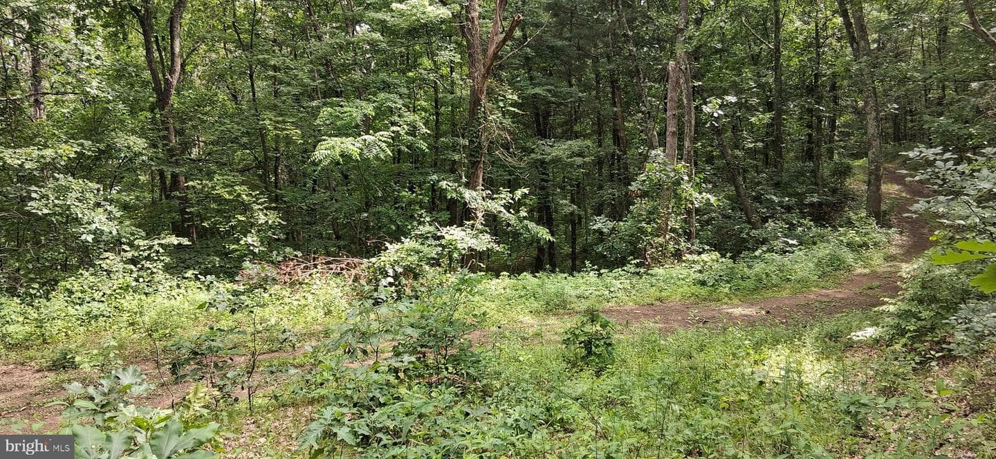 234 Coastline Rd. photo 14