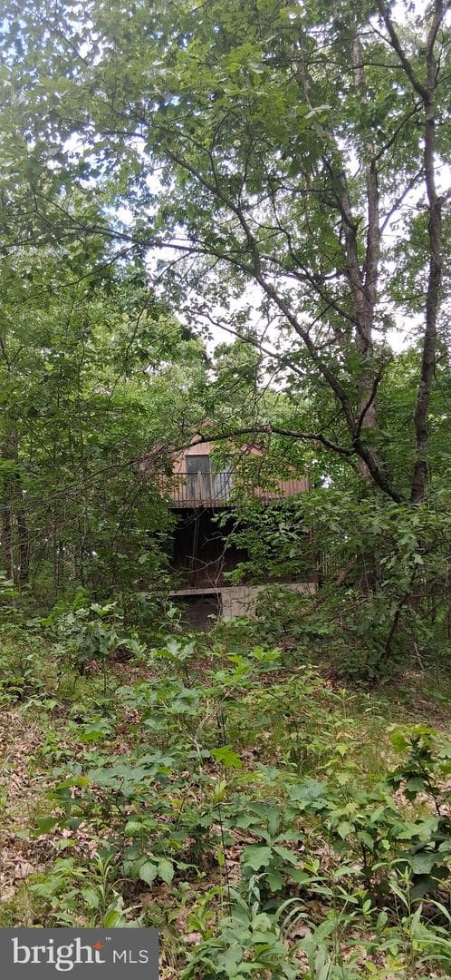 234 Coastline Rd. photo 6