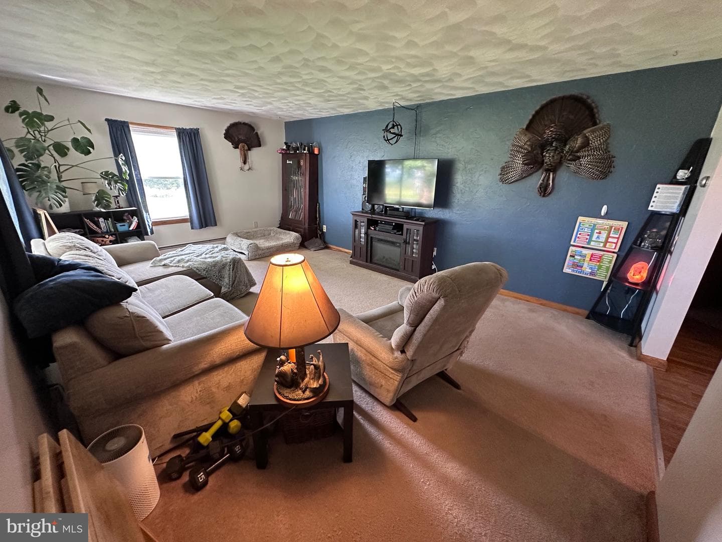 6553 Chaneysville Road photo 17