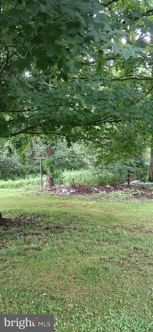 1165 N Imler Valley Rd. photo 7