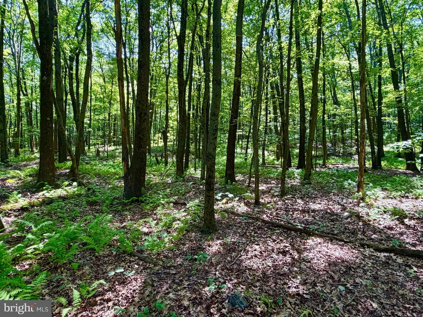 3243 Churchview Road photo 31