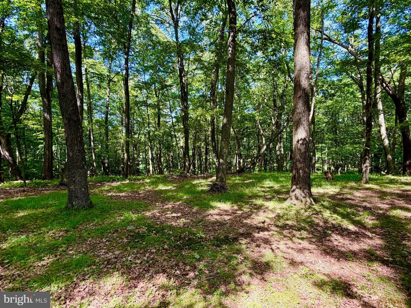 3243 Churchview Road photo 32