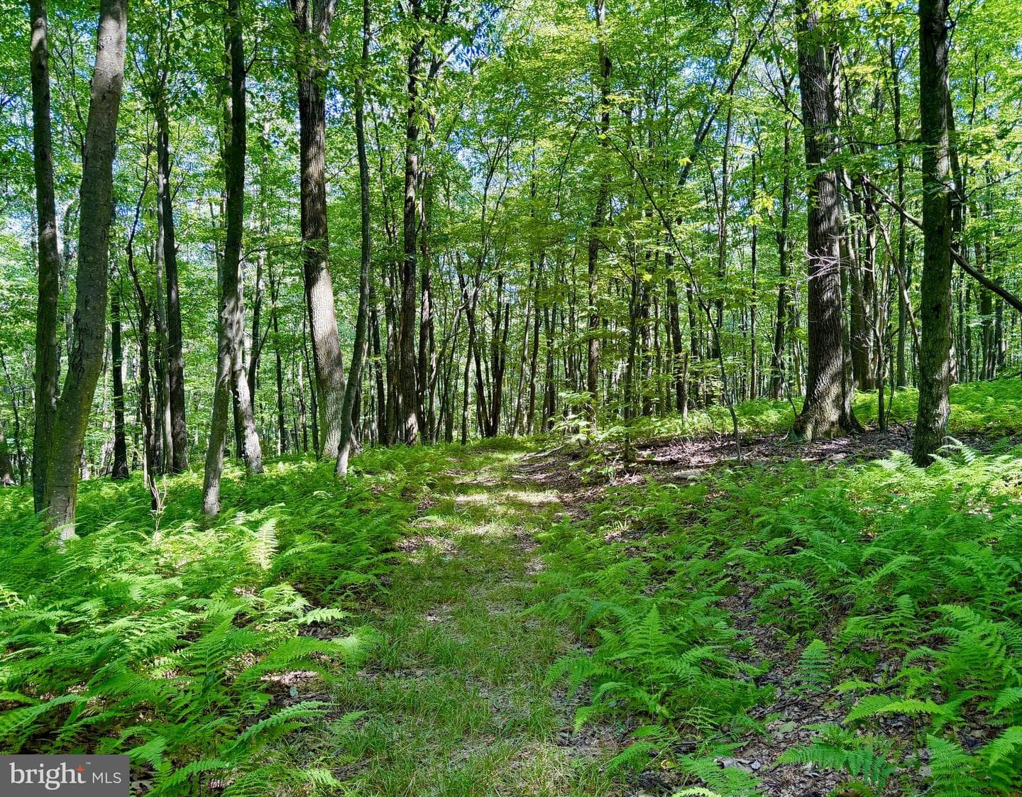 3243 Churchview Road photo 34