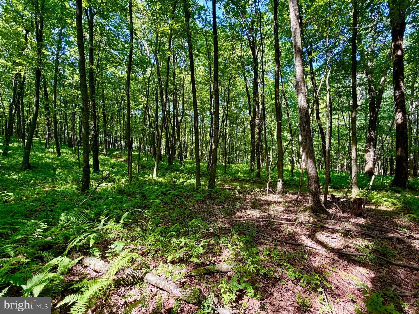 3243 Churchview Road photo 36