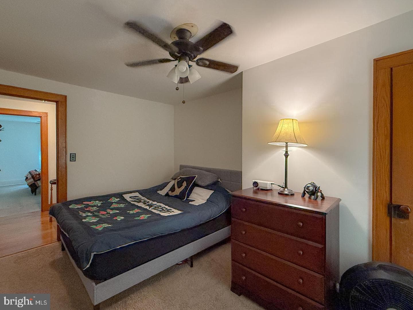 930 Osman Road photo 22