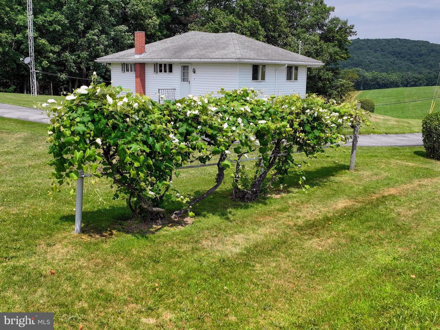 5587 Big Creek Road photo 39