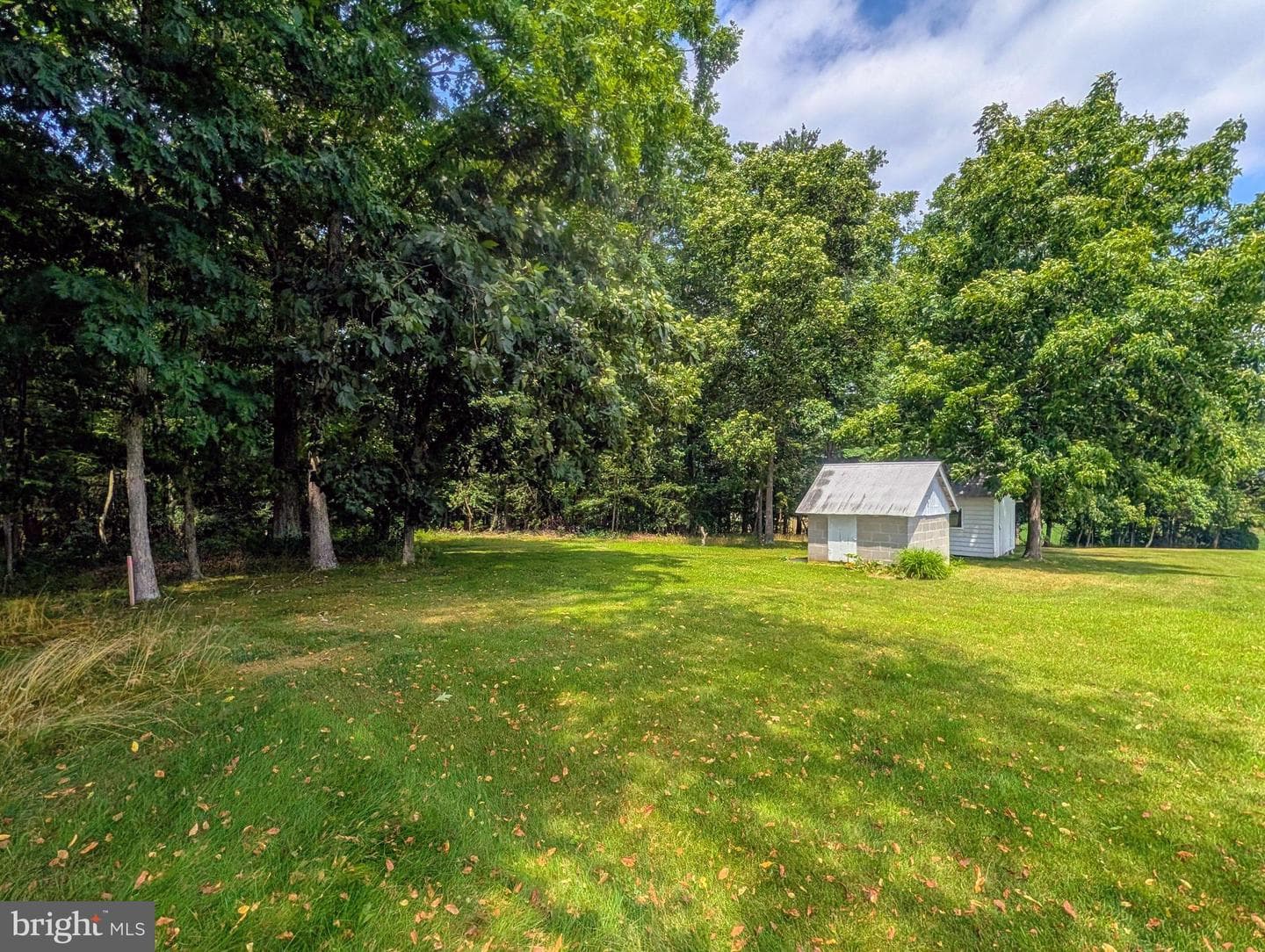 5587 Big Creek Road photo 41