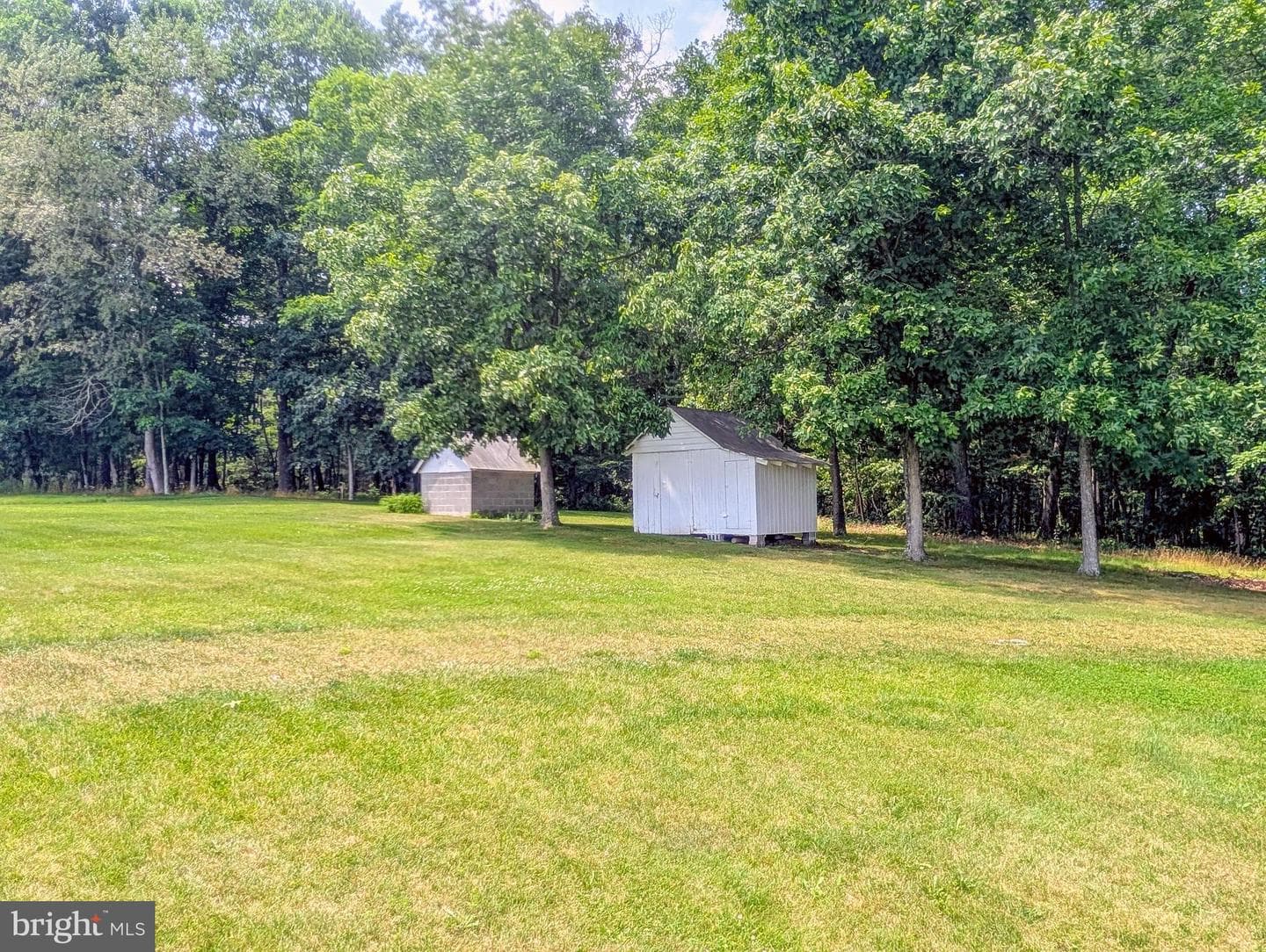 5587 Big Creek Road photo 42