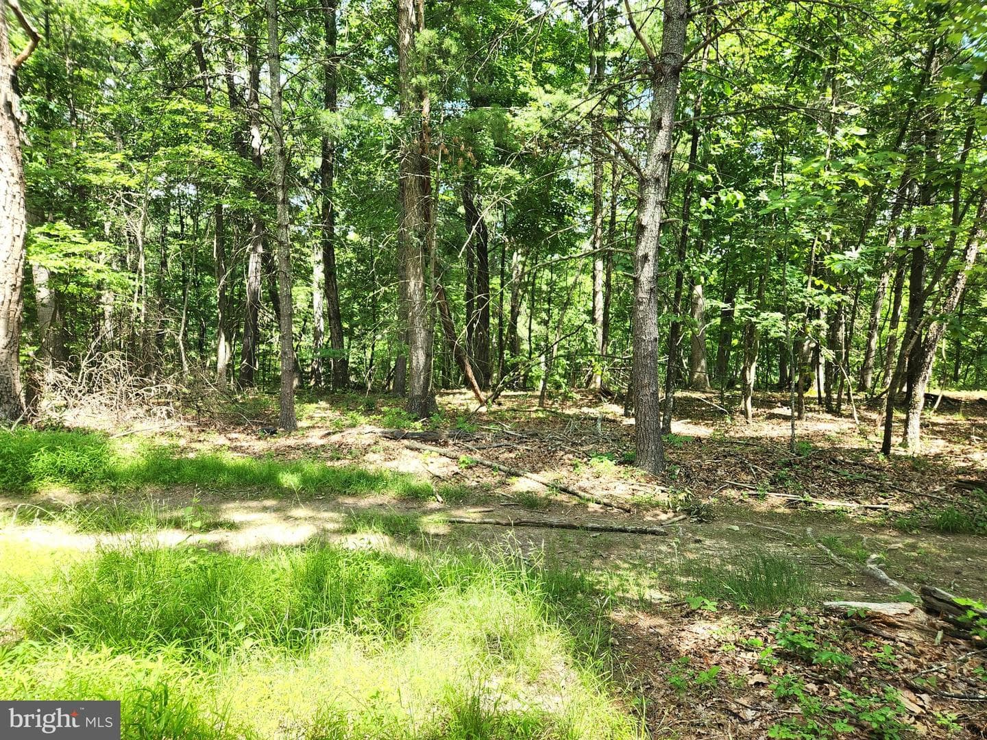 217 Lansing Road photo 16