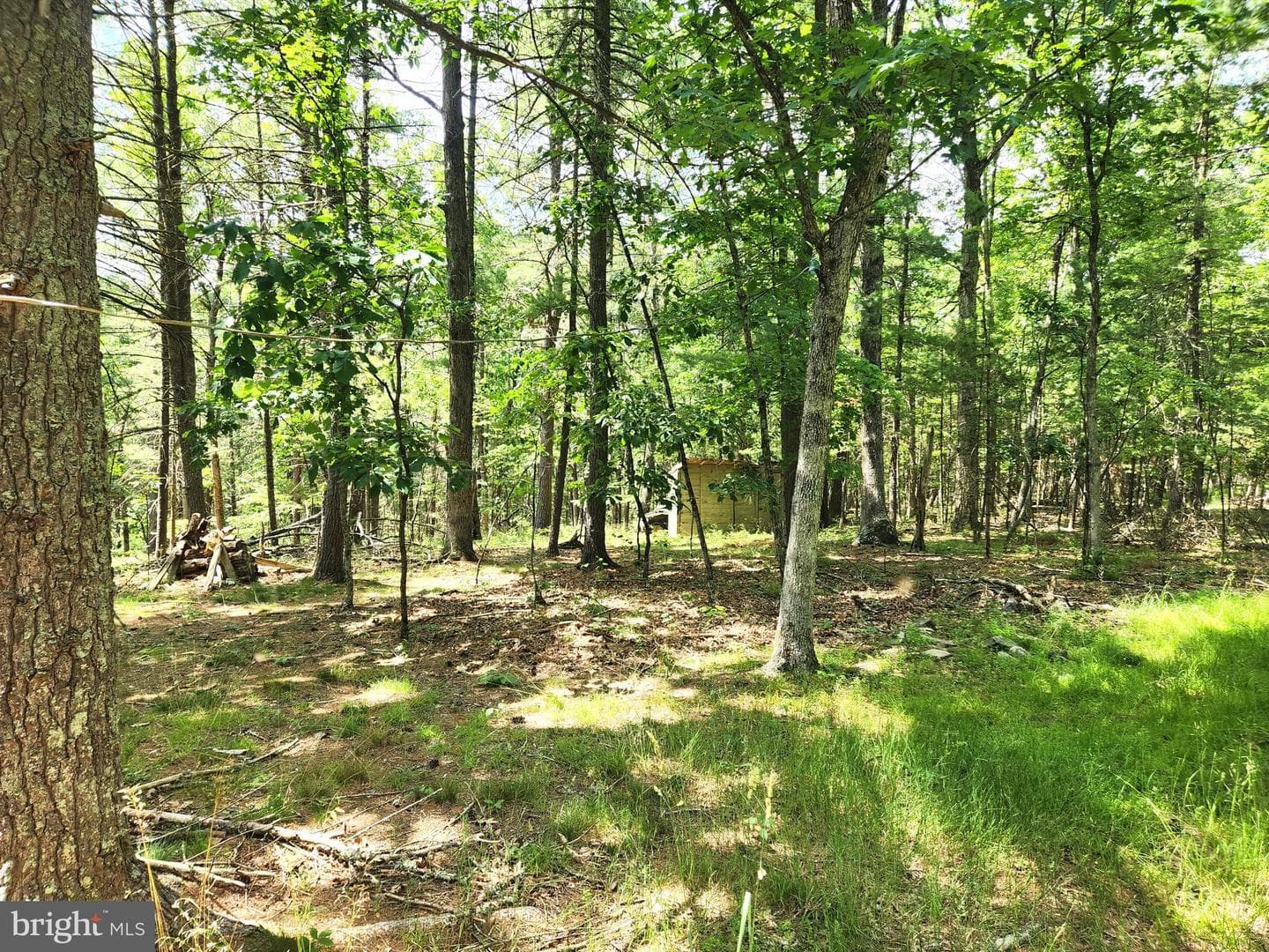 217 Lansing Road photo 17