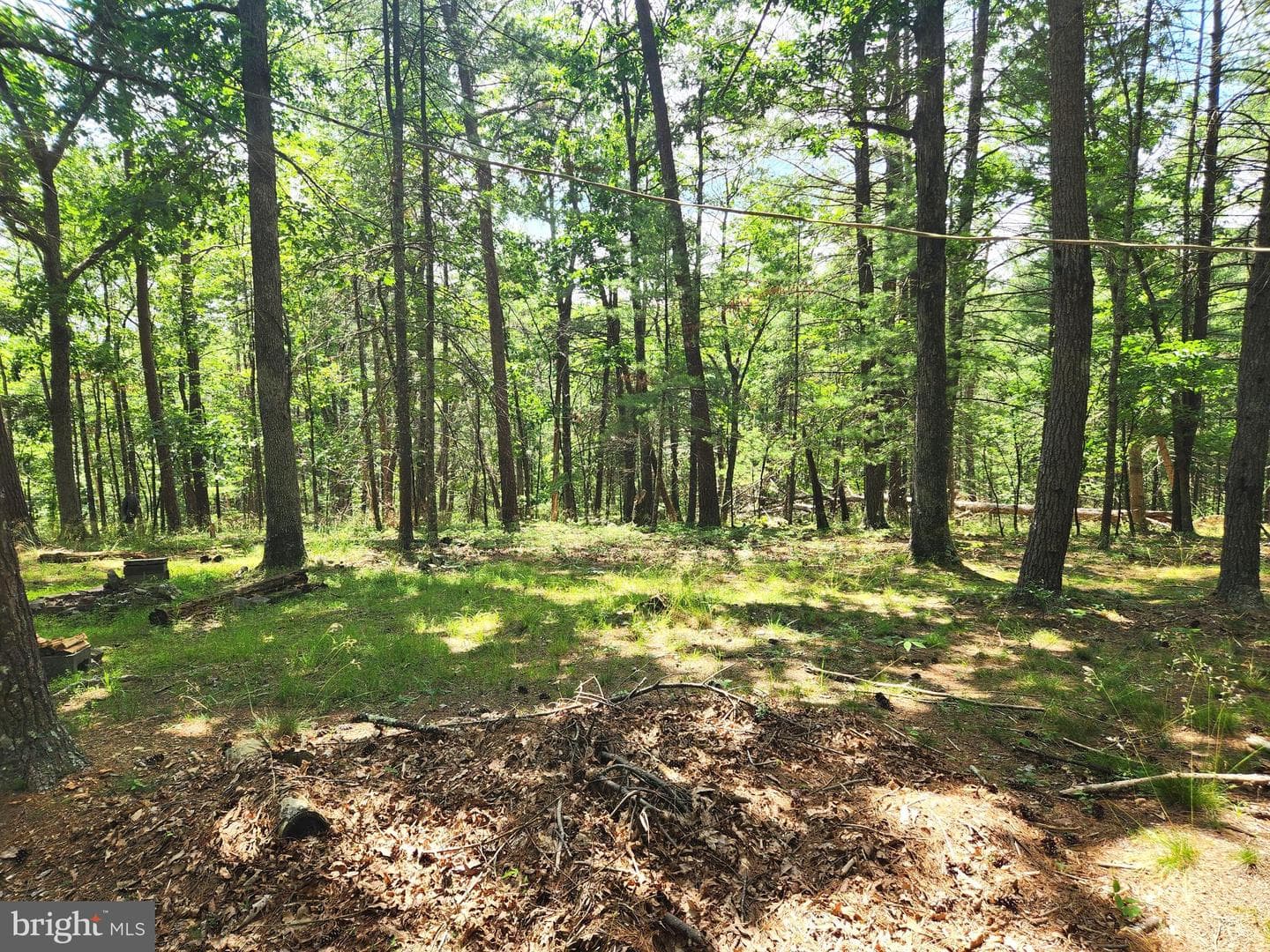 217 Lansing Road photo 18