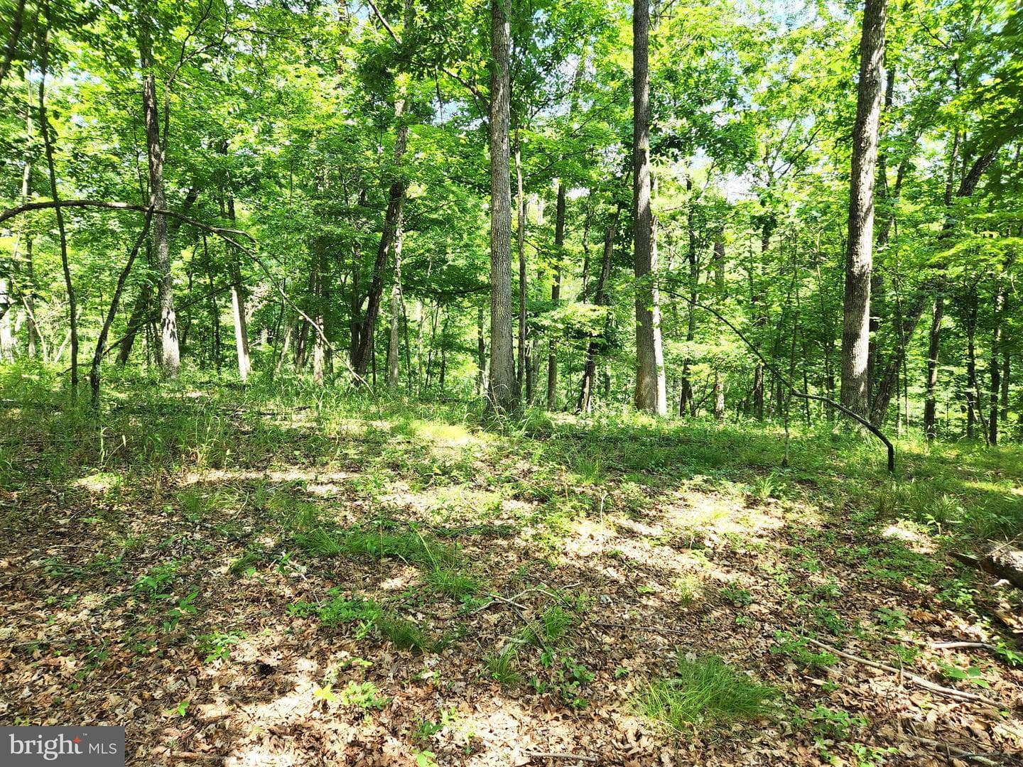 217 Lansing Road photo 20