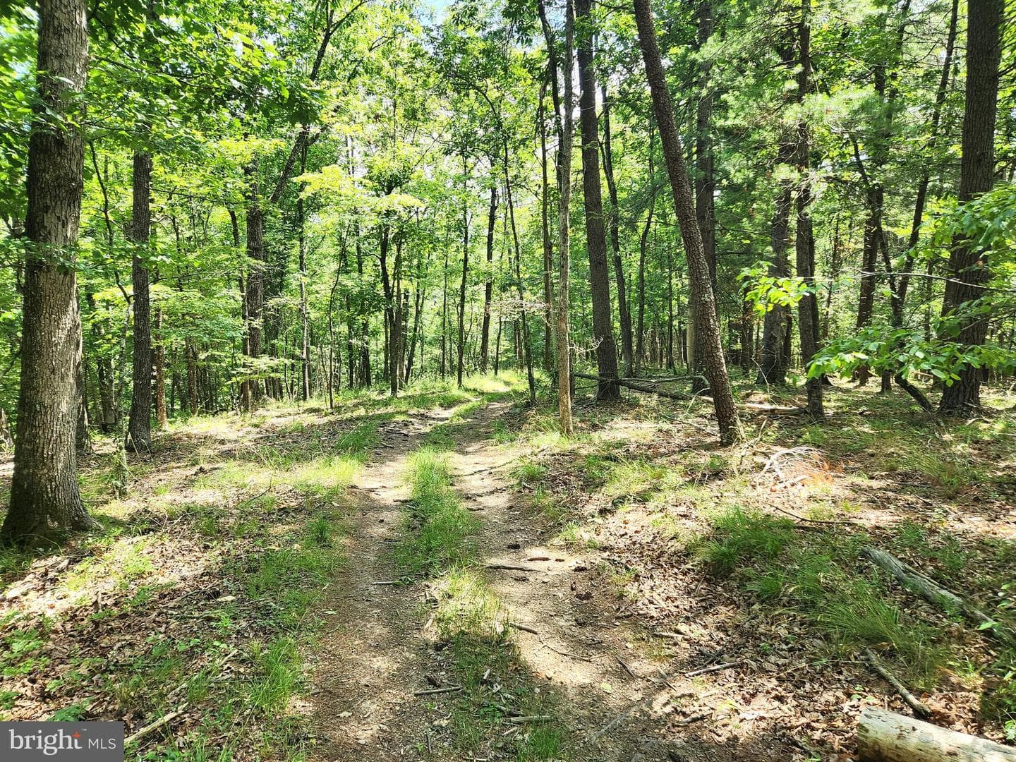217 Lansing Road photo 21